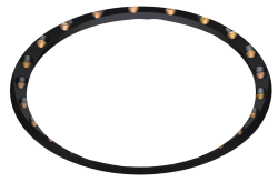 Loop IN