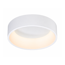 White Ceiling Fitting
