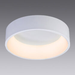 White Ceiling Fitting